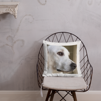 Almofada #Coleção "Melhores Amigos"