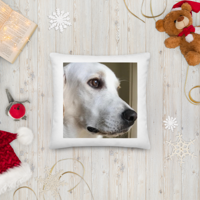 Almofada #Coleção "Melhores Amigos"