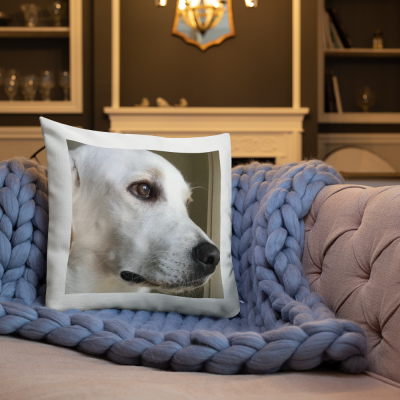 Almofada #Coleção "Melhores Amigos"