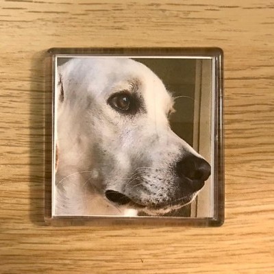 Íman  Acrílico a Personalizar