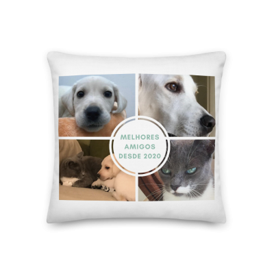 Almofada #Coleção "Melhores Amigos"