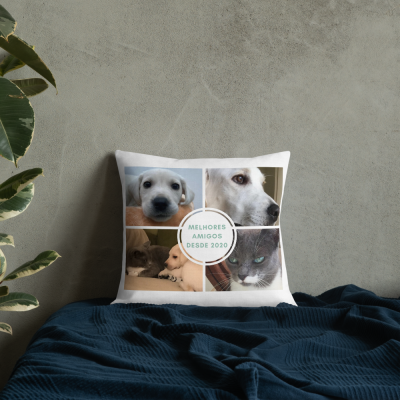 Almofada #Coleção "Melhores Amigos"