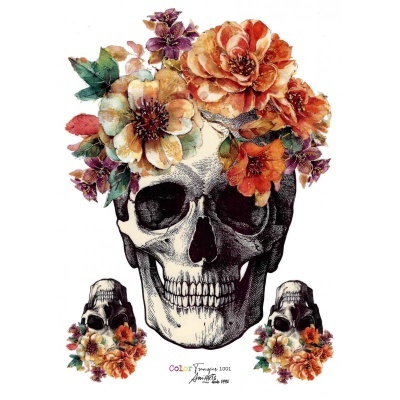 COLOR TRANSFER Ani Arts 20x30cm Ref.: CTE1001