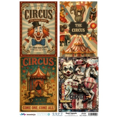 Papel de arroz Soft A3 30x41cm PA 5911