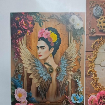 Transfere "FRIDA"   TCMG001