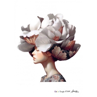 COLOR TRANSFER Ani Arts 20x30cm  CTEF0014