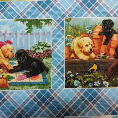 TECIDO HENRY GLASS  "Pups in the garden" 9340