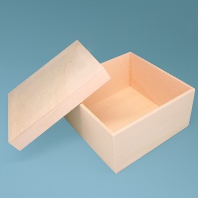 Caixa ampla 16x16x8cm 9740.1