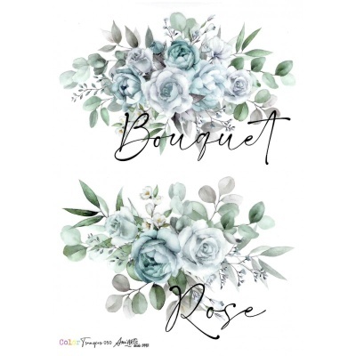 COLOR TRANSFER ANI ARTS 20X30CM REF.: CTE050