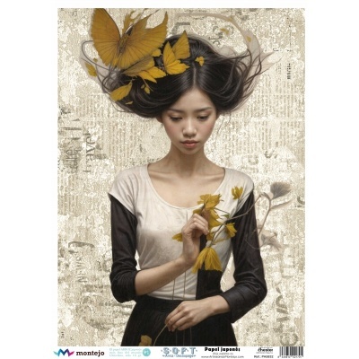 Papel de Arroz Soft 30x41cm  SPA 5832