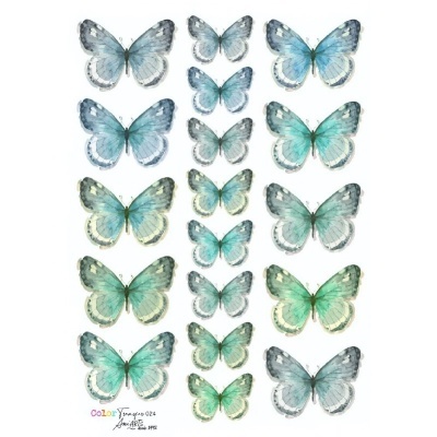 COLOR TRANSFER Ani Arts 20x30cm Ref.: CTE024