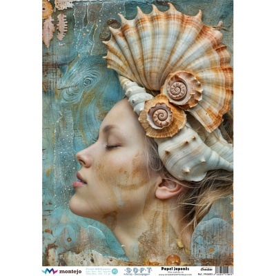 PAPEL DE ARROZ SOFT A3 30X41CM SPA5693