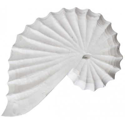 Concha grande, resina Cadence 28x18x4cm  3118