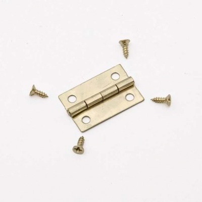 Dobradiça metálica dourada com quatro parafusos pequenos em fundo branco