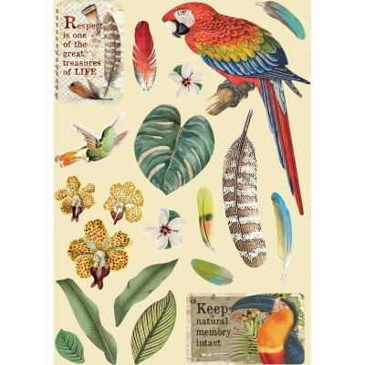 Stamperia Wooden Shapes A5 Amazonia Parrot (KLSP095)