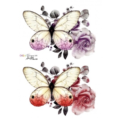 TRANSFER Ani Arts 20x30cm  CTE100