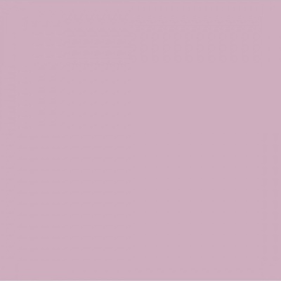 CHALK PAINT PAJARITA HORTÊNCIA CP08 175 ML