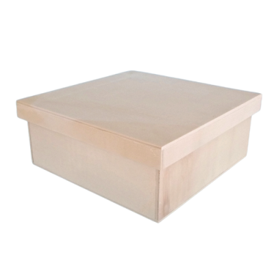 Caixa ampla com tampa de encaixe 25x25x10cm 9437