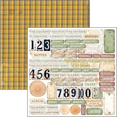 Bloco scrap.Into the Wild Patterns 12x12" 8F CIAO BELLA CBT067