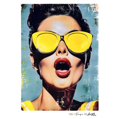 COLOR TRANSFER Ani Arts 20x30cm  CTE1073