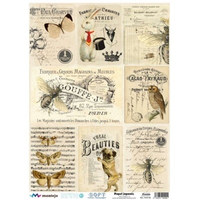 Papel decorativo vintage com ilustrações de animais e texto em francês