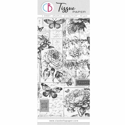 Tissue Paper BOTANY 69x49cm  CIAO BELLA  HT027