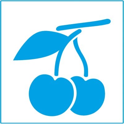 STENCIL LITOARTE 10x10cm ST-X-013