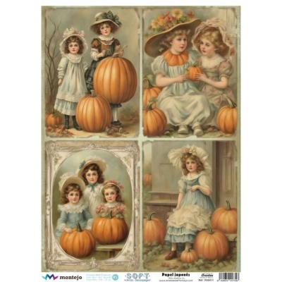 PAPEL DE ARROZ JAPONÉS SOFT A3 SPA5411