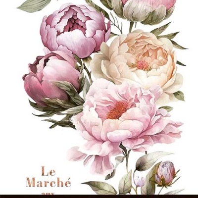 DECOR TRANSFERS 20X30CM PEONIES PFY-14804 Ref. 340928