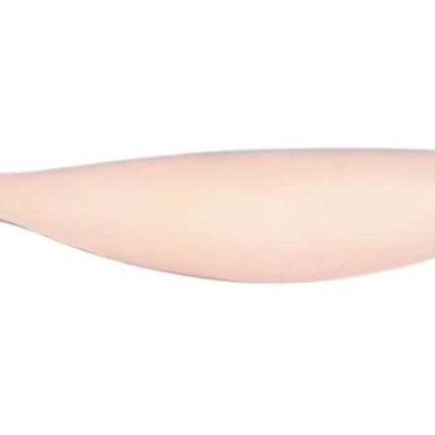 Sardinha lisa grande chacota 18cm  3436.1