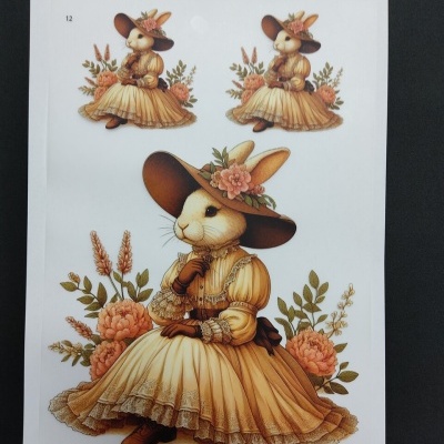 Transfere "Coelha Vintage 12"   DTFR