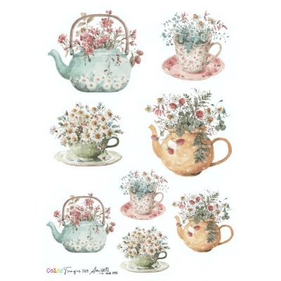 COLOR TRANSFER Ani Arts 20x30cm Ref.: CTE018