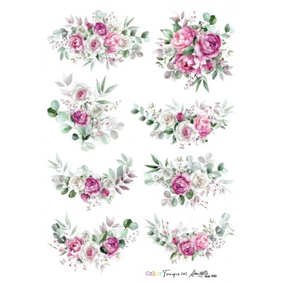 COLOR TRANSFER ANI ARTS 20X30CM REF.: CTE045