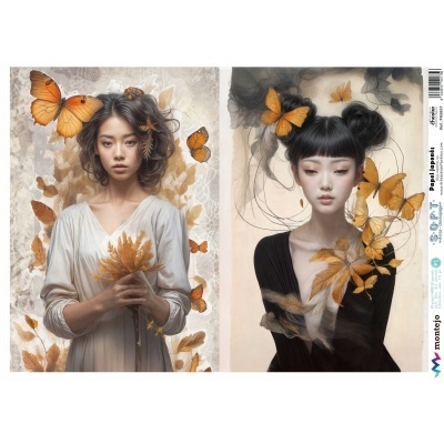 Papel de Arroz Soft 30x41cm  SPA 5837