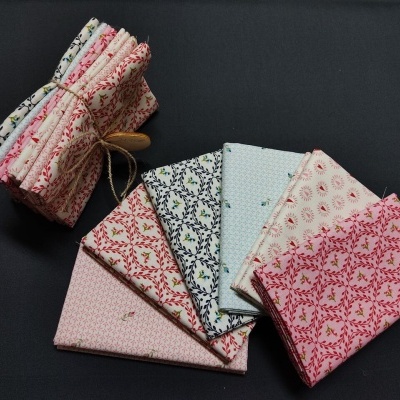 Conjunto de 6 FQ Stof Fabrics "All Small"