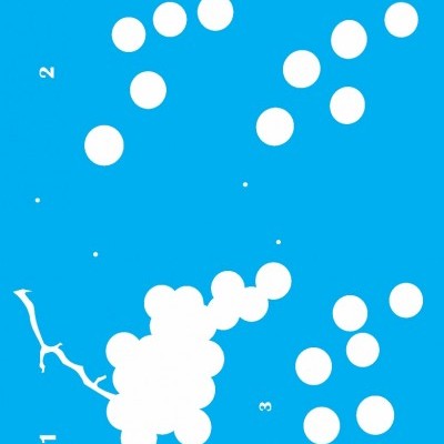 STENCIL 20X25 FRUTA UVA OPA1792