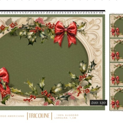 Tecido Painel CrisMazzer Individuais (4) c/0,54x1,50mt  D10/120