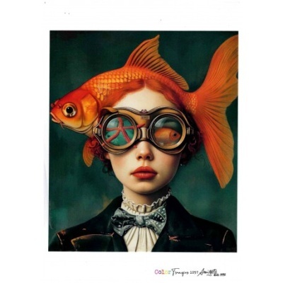 COLOR TRANSFER ANI ARTS 20X30CM REF.: CTE1057