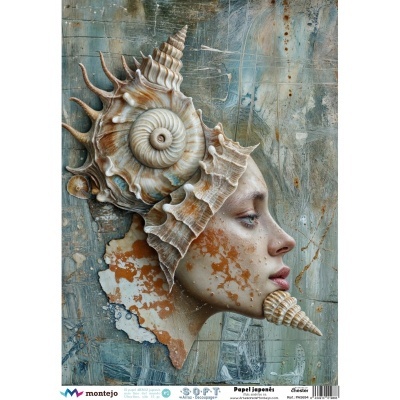 PAPEL DE ARROZ SOFT A3 30X41CM SPA5694