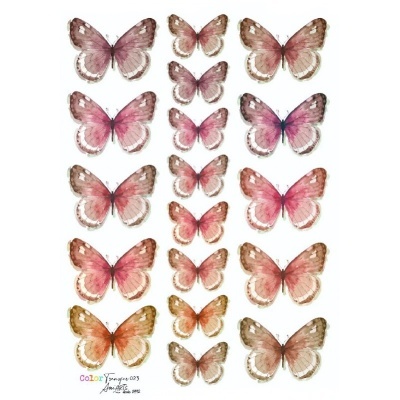 COLOR TRANSFER Ani Arts 20x30cm Ref.: CTE023