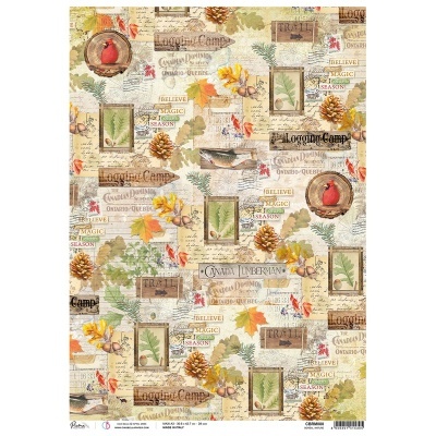 Papel de arroz A3 Piuma Boreal nature CIAO BELLA CBRM080