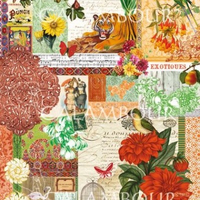 PAPEL ARROZ CALAMBOUR 30,4X42,5CM DGR227