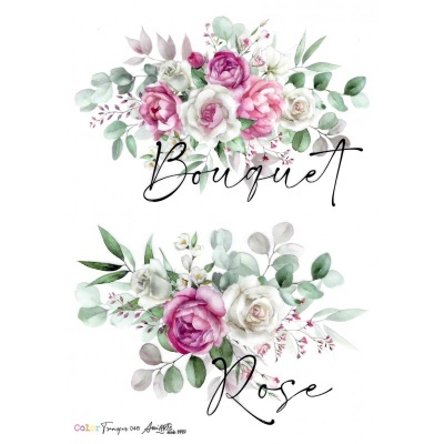 COLOR TRANSFER ANI ARTS 20X30CM REF.: CTE048