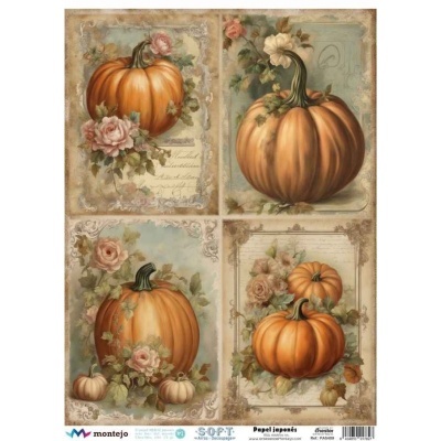 PAPEL DE ARROZ JAPONÉS SOFT A3 SPA5409