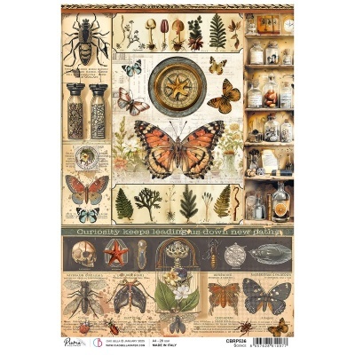 Papel de arroz A4 CIAO BELLA Science  CBRP 536