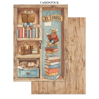 Folha de cartão decorativa com ilustração de prateleiras, livros, mala, papéis e ratos a ler.