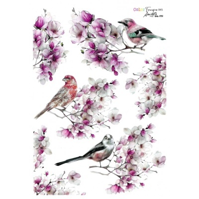 COLOR TRANSFER ANI ARTS 20X30CM REF.: CTE065