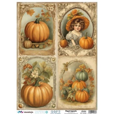 PAPEL DE ARROZ JAPONÉS SOFT A3 SPA5406