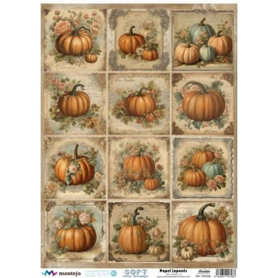 PAPEL DE ARROZ JAPONÉS SOFT A3 SPA5408