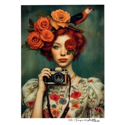 COLOR TRANSFER Ani Arts 20x30 CTE 1056